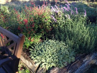 Make Raised Garden Beds with Logs Image